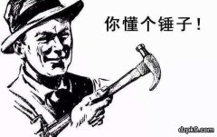 坚果牌是什么意思？