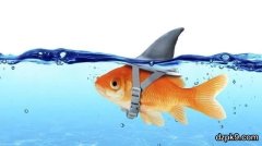 德州扑克中的鱼、鲨鱼、鲸鱼是什么意思？