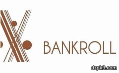 bankroll是什么意思？