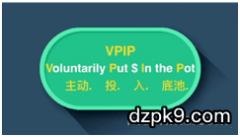 VPIP是什么意思