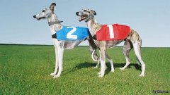 德州扑克位置有多重要