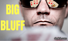 德州扑克的诈唬类型