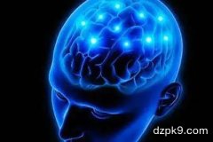 德州扑克牌桌表现