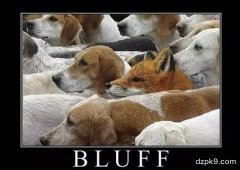 如何判断一个牌面是否适合用来诈唬