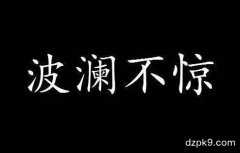 德州扑克的情绪控制