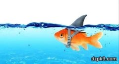 如何在德州扑克牌桌上找出鱼玩家