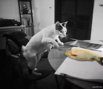 超紧玩家怎么对付