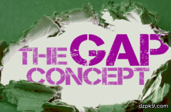 德州扑克缺口理论