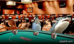 德州扑克短码的错误打法