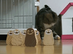 德扑可以训练你的多项技能