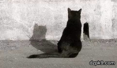 一个合格德扑玩家的自我修养