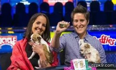 第一女巨鲨到底是何许人