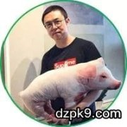 锦标赛拿到AA，应该如何决策？