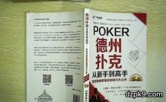 提高德州扑克技术的书籍