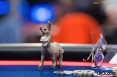 怎么判断自己是不是玩了太多起手牌？