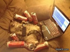 晒一晒德扑玩家的打牌环境