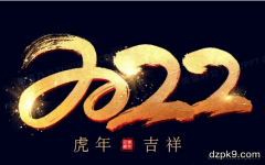 2022年全国扑克赛事汇总