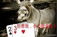 德州扑克与大数定理